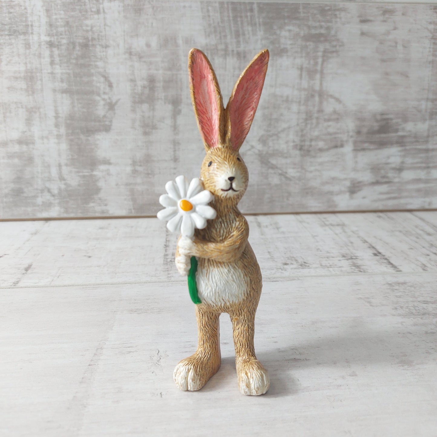 Standing Bunny Holding a Daisy