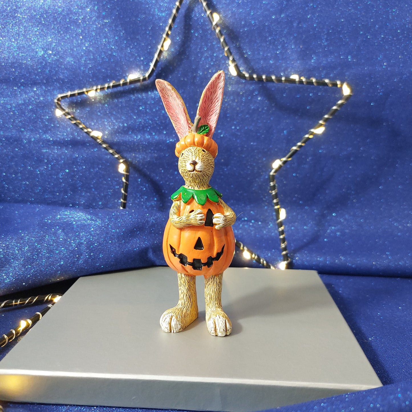 Bunny With a Pumpkin Twist!