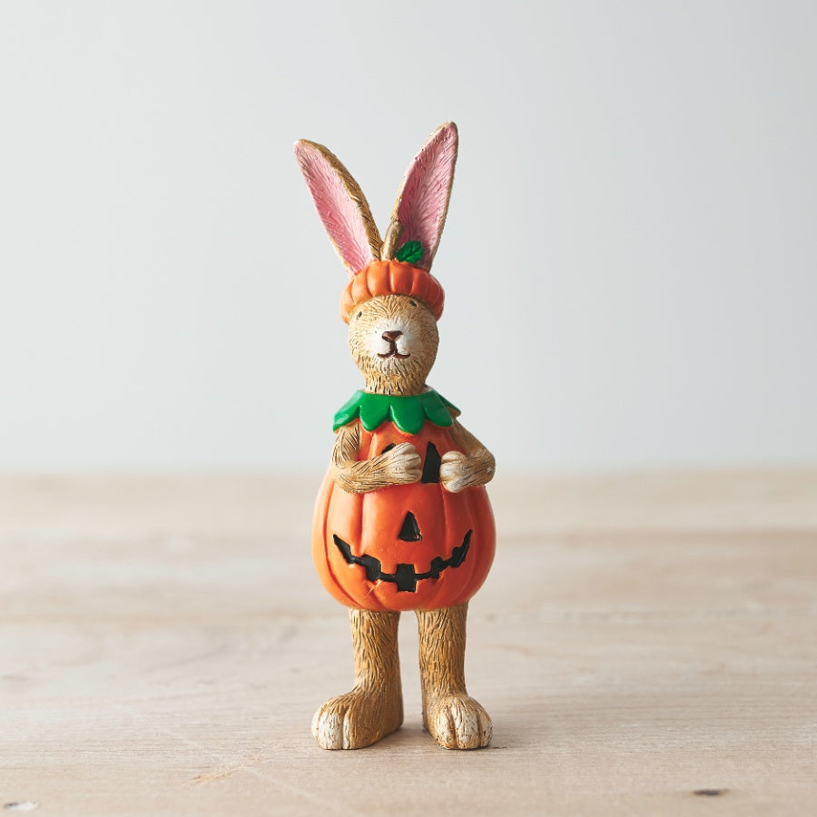 Standing rabbit in a pumpkin costume.