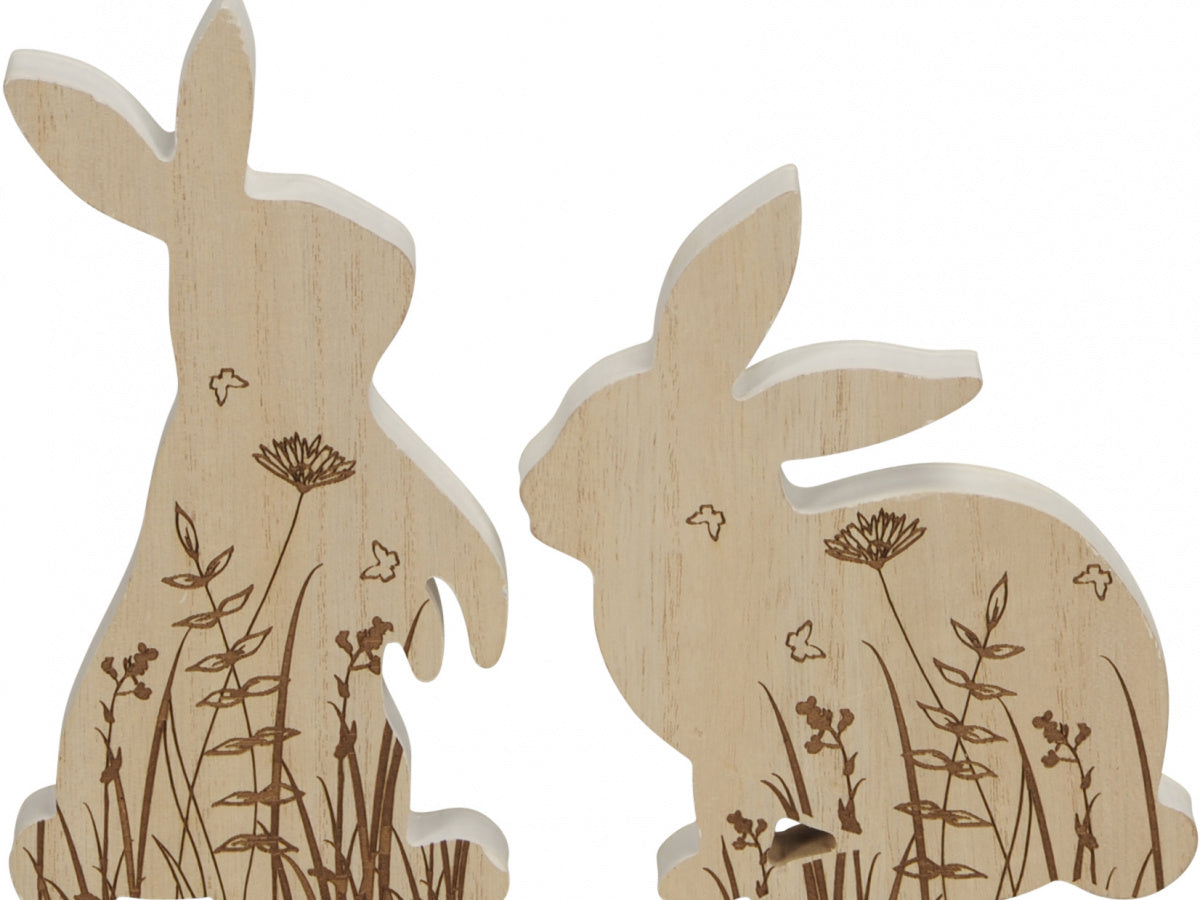 The bunny pair