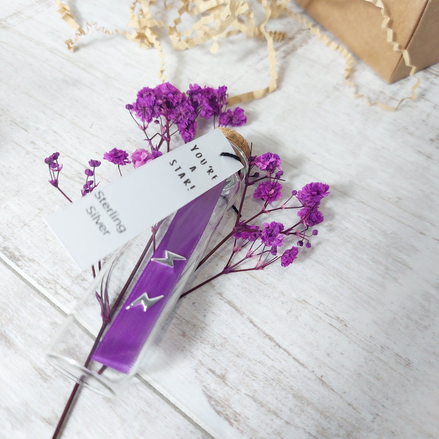 Lightning Bolt Sterling Silver Earrings in Gift Box