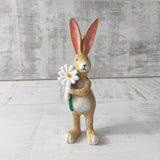Standing Bunny Holding a Daisy