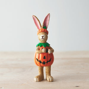 Bunny With a Pumpkin Twist!