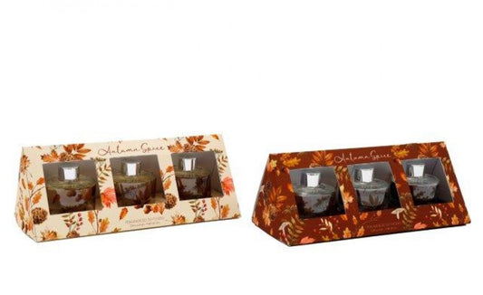 Set of 3 Autumn spice diffusers