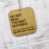 Funny wooden hanging sign