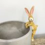 Plant Pot Hanging Rabbit